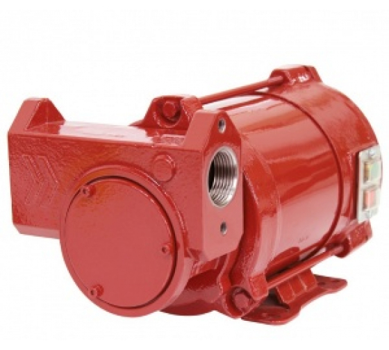 IRON-50 Ex 12 VDC - Самовсасывающий роторный лопастной взрывозащ-й электронасос для бензина
