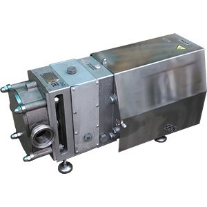 Роторный насос типа ОРА НМ-02 (моноблок)
